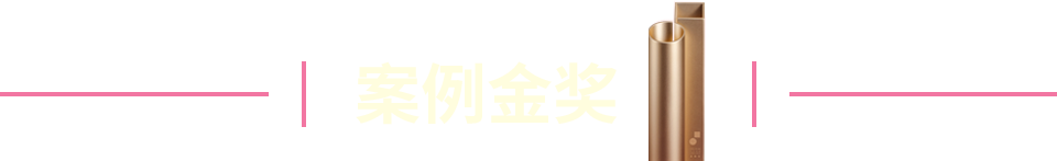 案例金奖