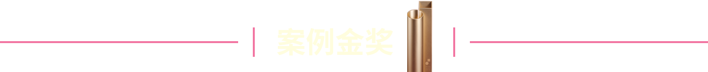 案例金奖